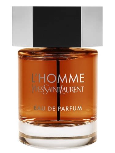 ysl l'homme eau de parfum 2022|l homme ysl price.